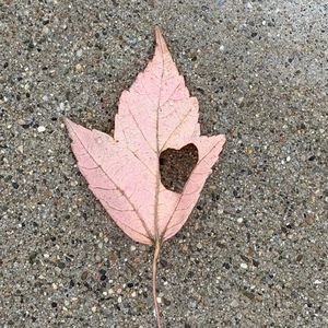 Meet your Posher, April